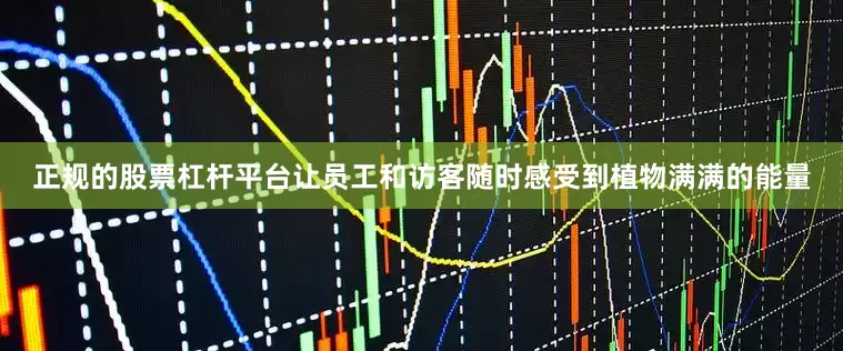 正规的股票杠杆平台让员工和访客随时感受到植物满满的能量
